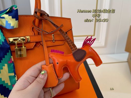 Hermes platinum bag - Image 5